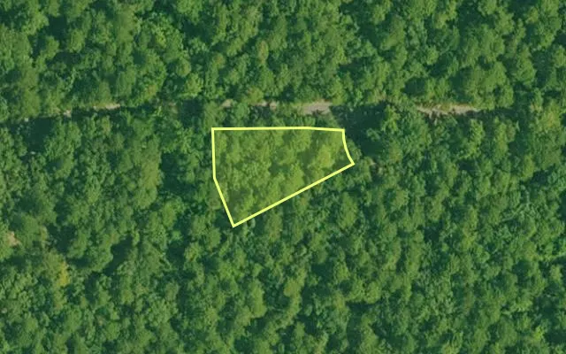 Aerial view of GARLAND County parcel 66982 — Arkansas post-auction with approximate parcel outline