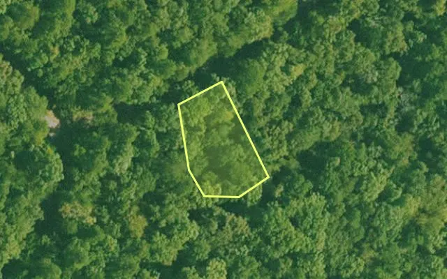 Aerial view of SALINE County parcel 688-00106-000 — Arkansas post-auction with approximate parcel outline