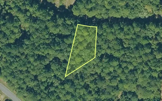 Aerial view of CLEBURNE County parcel 600-03160-000 — Arkansas post-auction with approximate parcel outline