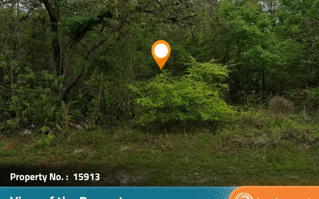 LandCentral listing preview for 0.24 acres in Dixie, FL — 15913