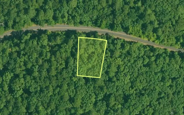 Aerial view of GARLAND County parcel 65233 — Arkansas post-auction with approximate parcel outline