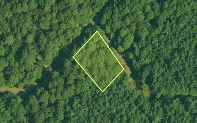 Aerial view of GARLAND County parcel 65001 — Arkansas post-auction with approximate parcel outline
