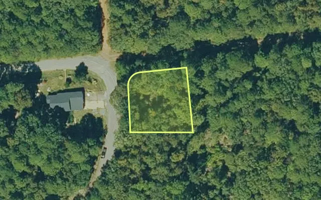 Aerial view of CLEBURNE County parcel 600-03769-000 — Arkansas post-auction with approximate parcel outline