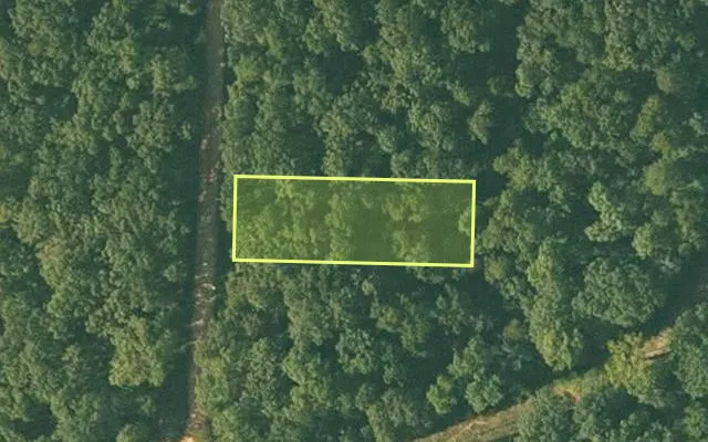 Aerial view of SHARP County parcel 418-00040-000 — Arkansas post-auction with approximate parcel outline