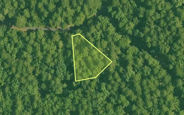 Aerial view of SALINE County parcel 588-00107-000 — Arkansas post-auction with approximate parcel outline