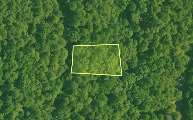 Aerial view of SALINE County parcel 536-00085-000 — Arkansas post-auction with approximate parcel outline