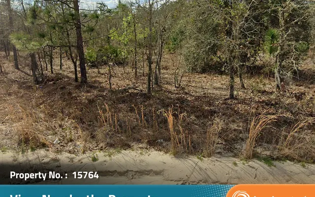 LandCentral listing preview for 0.23 acres in Putnam, FL — 15764