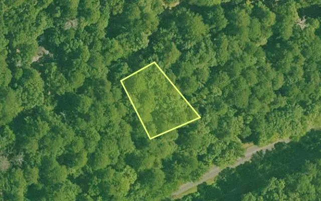 Aerial view of GARLAND County parcel 74642 — Arkansas post-auction with approximate parcel outline