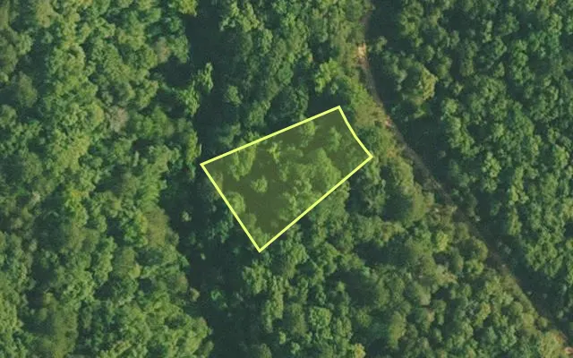 Aerial view of VAN BUREN County parcel 4500-01031-0000 — Arkansas post-auction with approximate parcel outline