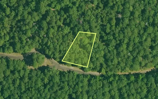 Aerial view of GARLAND County parcel 65183 — Arkansas post-auction with approximate parcel outline