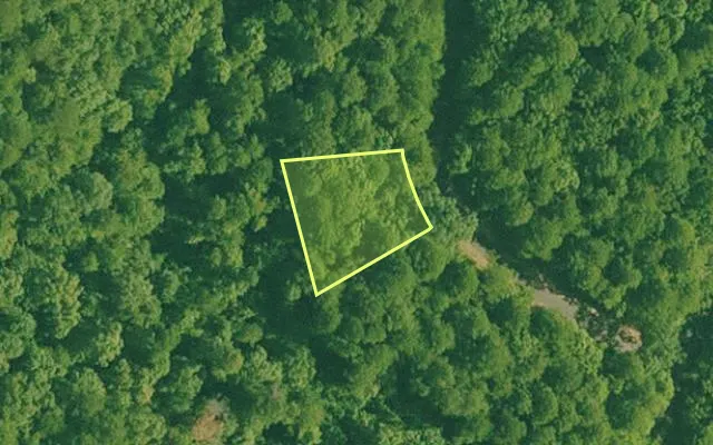 Aerial view of SALINE County parcel 476-00042-000 — Arkansas post-auction with approximate parcel outline