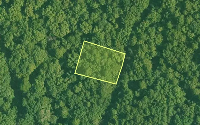 Aerial view of SALINE County parcel 632-00098-000 — Arkansas post-auction with approximate parcel outline