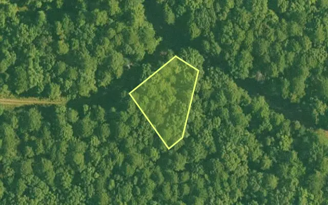 Aerial view of GARLAND County parcel 58060 — Arkansas post-auction with approximate parcel outline