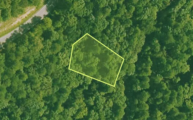 Aerial view of SALINE County parcel 564-00171-000 — Arkansas post-auction with approximate parcel outline