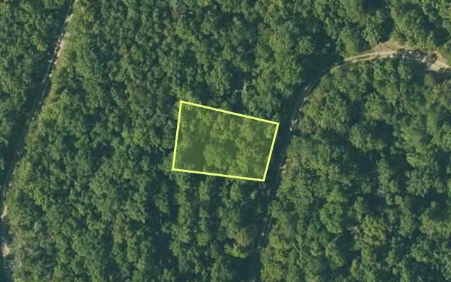 Aerial view of FULTON County parcel 310-17854-000 — Arkansas post-auction with approximate parcel outline