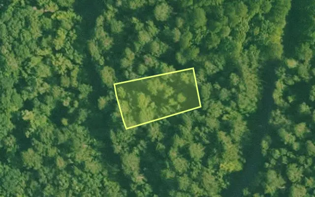 Aerial view of SALINE County parcel 388-00021-000 — Arkansas post-auction with approximate parcel outline