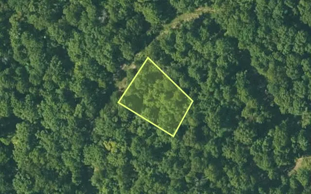 Aerial view of FULTON County parcel 180-13163-000 — Arkansas post-auction with approximate parcel outline