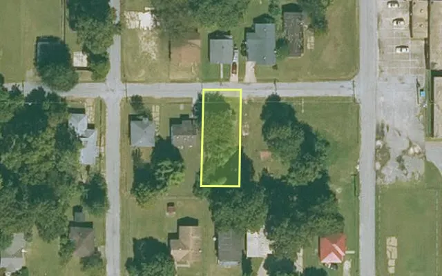 Aerial view of MISSISSIPPI County parcel 305-02990-000 — Arkansas post-auction with approximate parcel outline