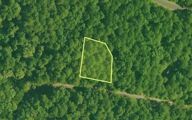 Aerial view of GARLAND County parcel 68464 — Arkansas post-auction with approximate parcel outline