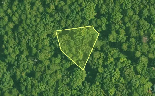 Aerial view of SALINE County parcel 456-00226-000 — Arkansas post-auction with approximate parcel outline