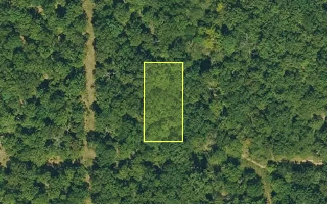 Aerial view of IZARD County parcel 800-10075-000 — Arkansas post-auction with approximate parcel outline