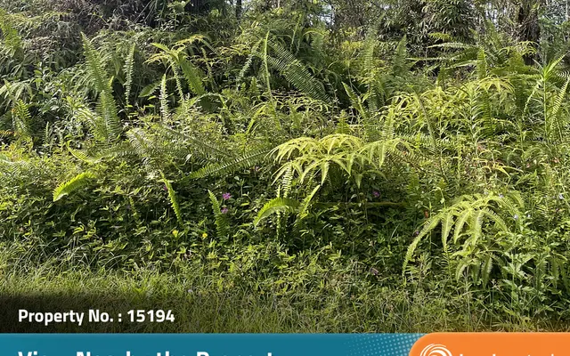 LandCentral listing preview for 0.18 acres in Hawaii, HI — 15194
