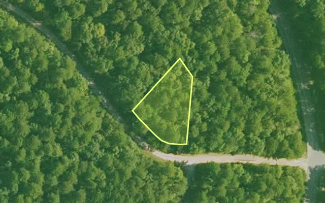 Aerial view of SALINE County parcel 748-00091-000 — Arkansas post-auction with approximate parcel outline