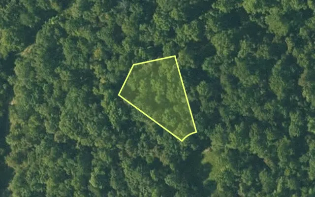 Aerial view of FULTON County parcel 125-11159-000 — Arkansas post-auction with approximate parcel outline