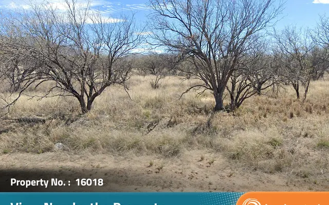 LandCentral listing preview for 0.21 acres in Santa Cruz, AZ — 16018