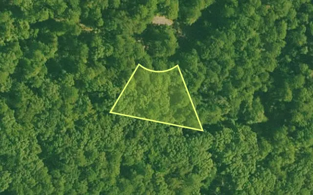 Aerial view of SALINE County parcel 440-00104-000 — Arkansas post-auction with approximate parcel outline