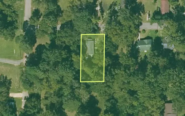 Aerial view of BRADLEY County parcel 703-00150-000 — Arkansas post-auction with approximate parcel outline