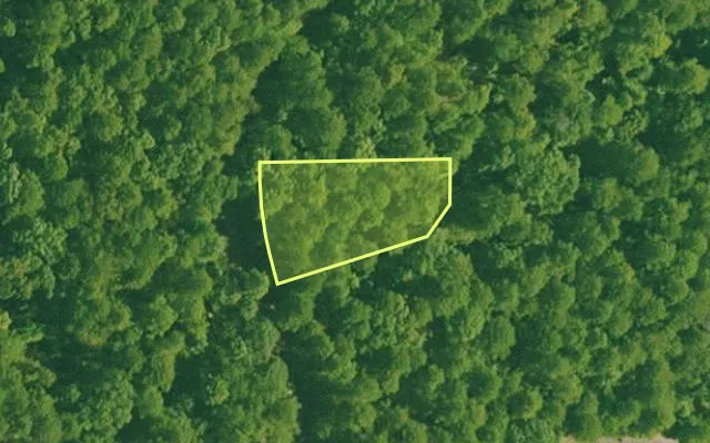 Aerial view of SALINE County parcel 668-00152-000 — Arkansas post-auction with approximate parcel outline