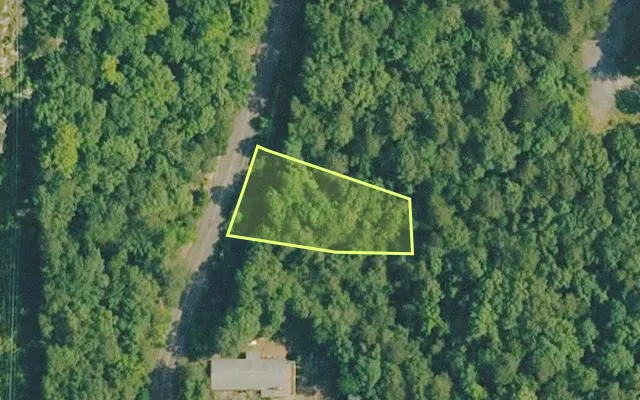 Aerial view of VAN BUREN County parcel 4350-10065-0000 — Arkansas post-auction with approximate parcel outline