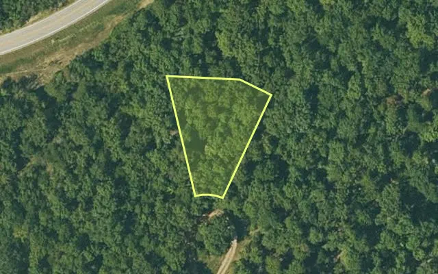Aerial view of FULTON County parcel 325-18384-000 — Arkansas post-auction with approximate parcel outline