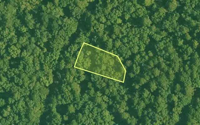 Aerial view of SALINE County parcel 632-00116-000 — Arkansas post-auction with approximate parcel outline