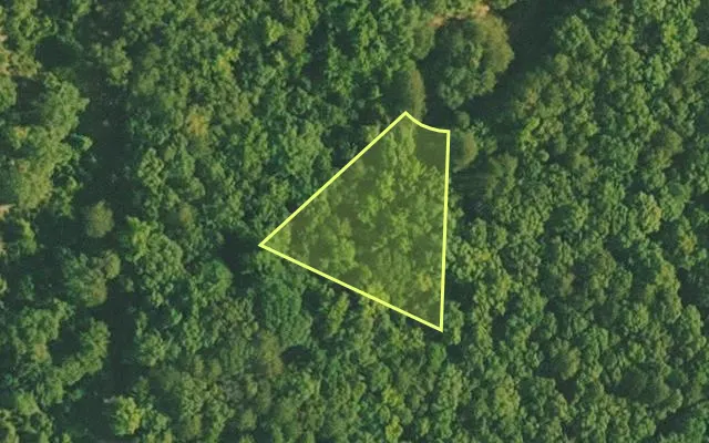 Aerial view of VAN BUREN County parcel 4500-02010-0000 — Arkansas post-auction with approximate parcel outline