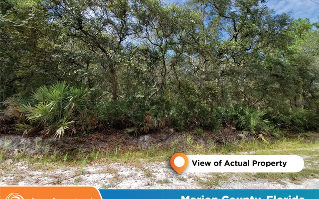 LandCentral listing preview for 0.21 acres in Marion, FL — 11487