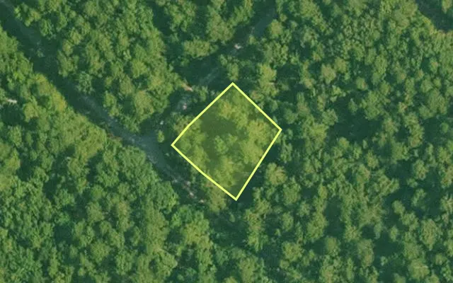 Aerial view of SALINE County parcel 496-00064-000 — Arkansas post-auction with approximate parcel outline
