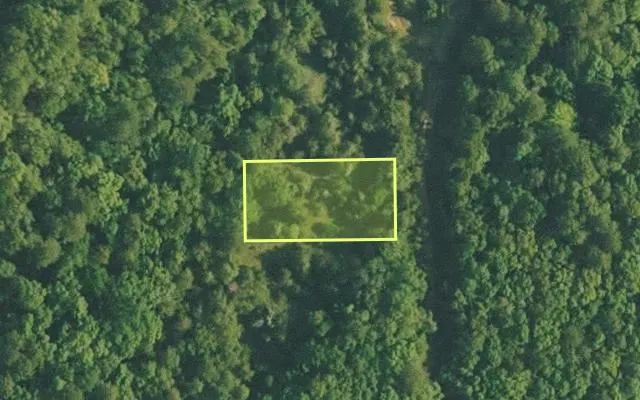 Aerial view of VAN BUREN County parcel 4400-19060-0000 — Arkansas post-auction with approximate parcel outline