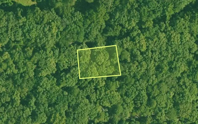 Aerial view of GARLAND County parcel 72667 — Arkansas post-auction with approximate parcel outline
