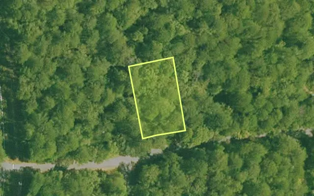 Aerial view of GARLAND County parcel 74250 — Arkansas post-auction with approximate parcel outline