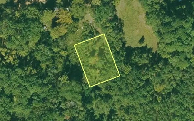 Aerial view of DALLAS County parcel 741-00370-000 — Arkansas post-auction with approximate parcel outline