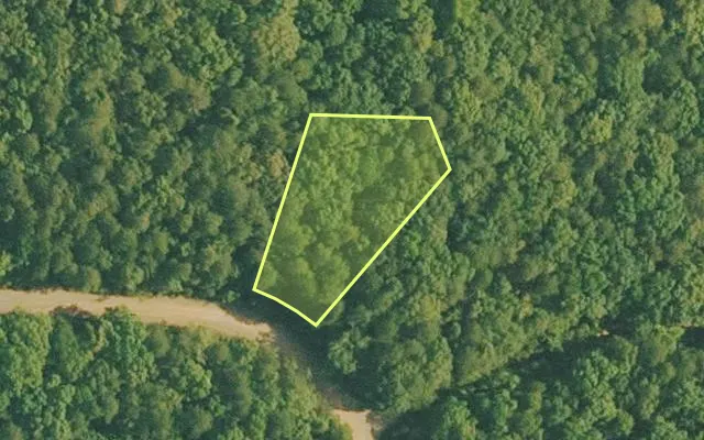 Aerial view of VAN BUREN County parcel 4500-01131-0000 — Arkansas post-auction with approximate parcel outline