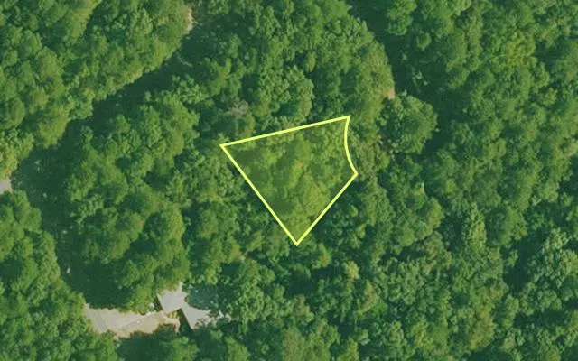 Aerial view of SALINE County parcel 476-00058-000 — Arkansas post-auction with approximate parcel outline