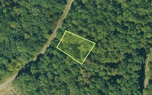 Aerial view of VAN BUREN County parcel 4550-02083-0000 — Arkansas post-auction with approximate parcel outline