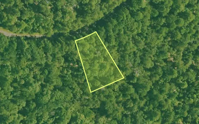 Aerial view of SALINE County parcel 652-00029-000 — Arkansas post-auction with approximate parcel outline