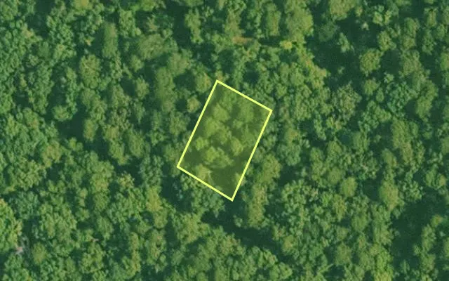 Aerial view of SALINE County parcel 688-00139-000 — Arkansas post-auction with approximate parcel outline