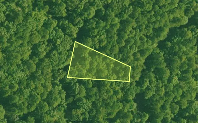 Aerial view of SALINE County parcel 668-00004-000 — Arkansas post-auction with approximate parcel outline