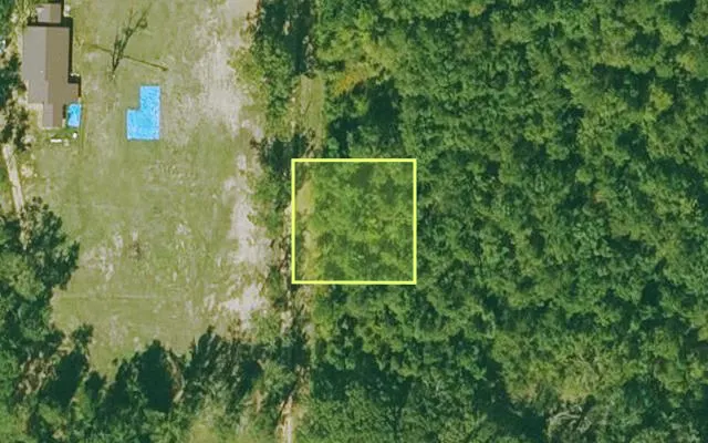 Aerial view of CALHOUN County parcel 753-00229-003 — Arkansas post-auction with approximate parcel outline