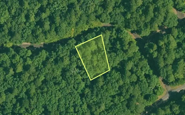 Aerial view of GARLAND County parcel 65452 — Arkansas post-auction with approximate parcel outline